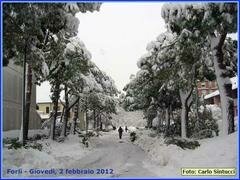 20120202IMG0681cs